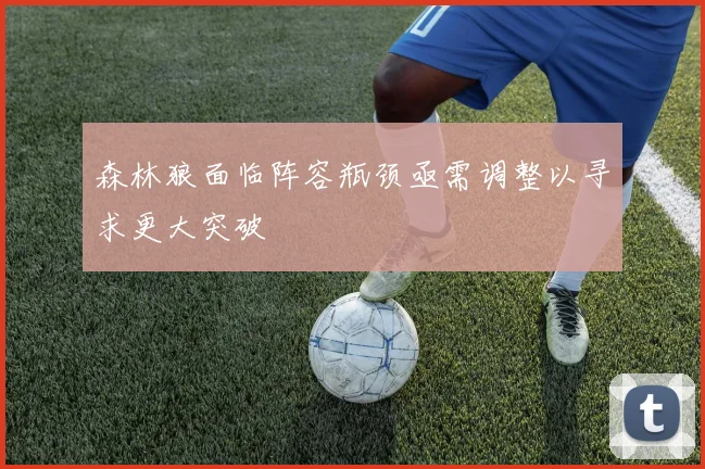 森林狼面临阵容瓶颈亟需调整以寻求更大突破